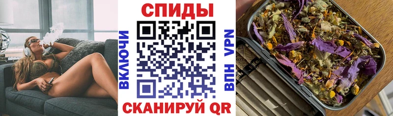 БУТИРАТ BDO 33%  мориарти формула  Новоалтайск 