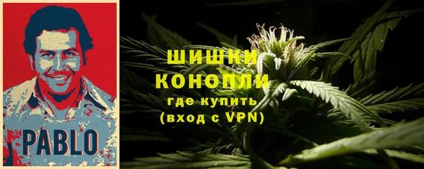 прущая мука Рославль