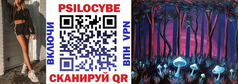 Галлюциногенные грибы Psilocybine cubensis где купить наркотик Новоалтайск